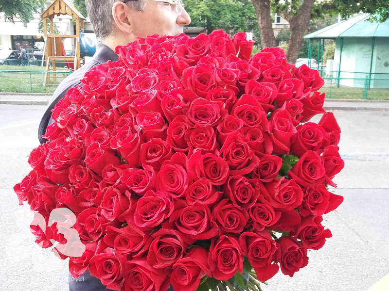 100 long red roses - Pink Petals - Flower delivery in Prague